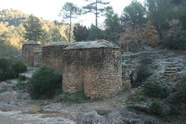 IMG_6663.JPG