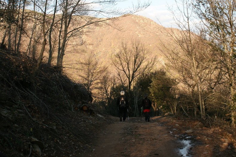IMG_4340.JPG