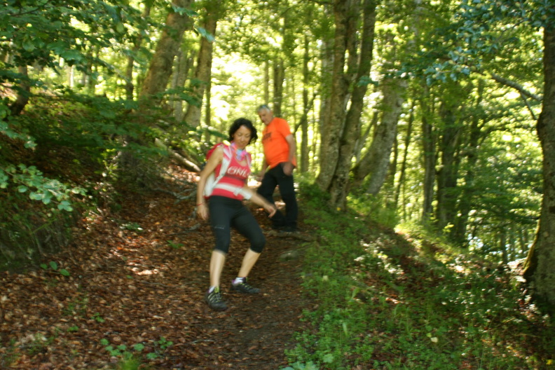 IMG_5563.JPG