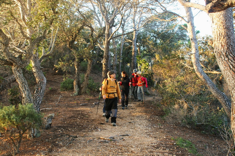 IMG_9599.JPG