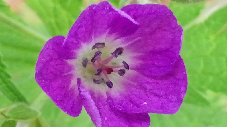 CAM01260.jpg