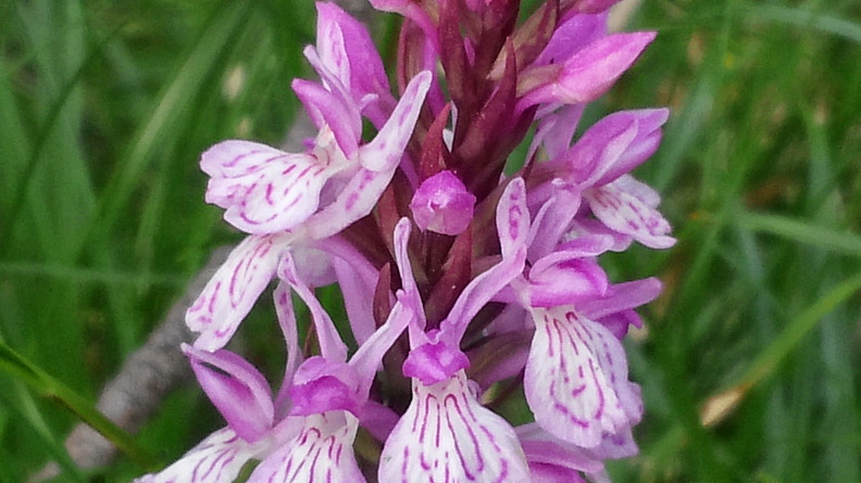 CAM01263.jpg