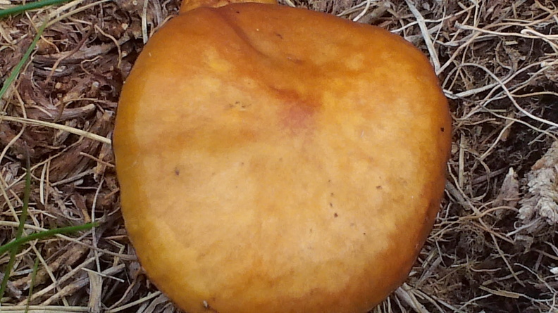 CAM01311.jpg