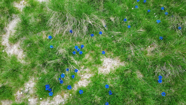 CAM01312.jpg
