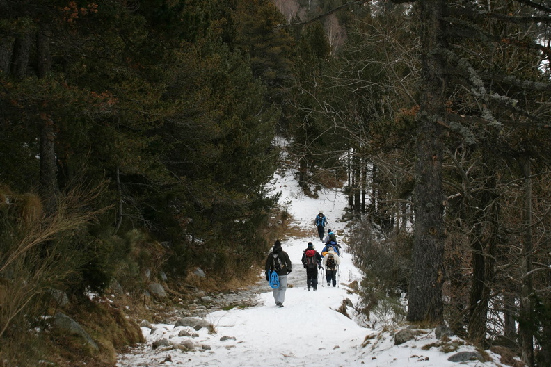 IMG_4149-editat.JPG