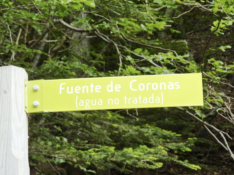 P1050757.JPG