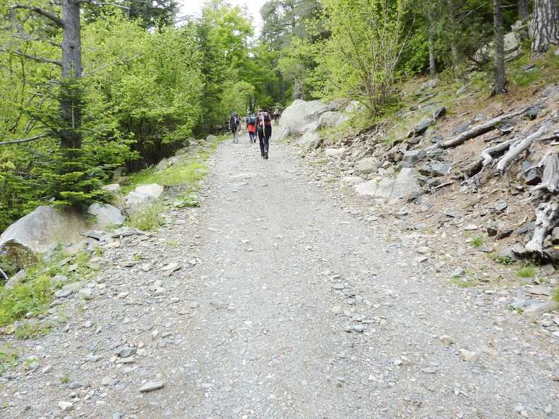 P1050766.JPG