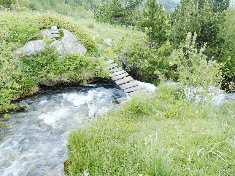 P1050819.JPG