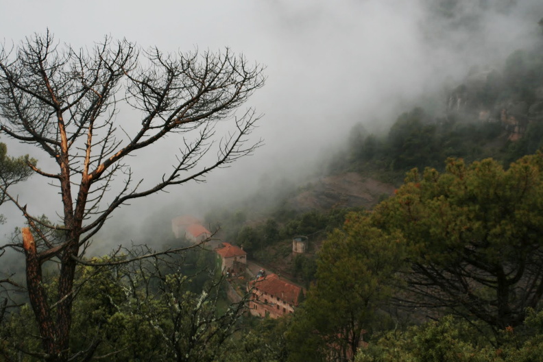 IMG_8327.JPG