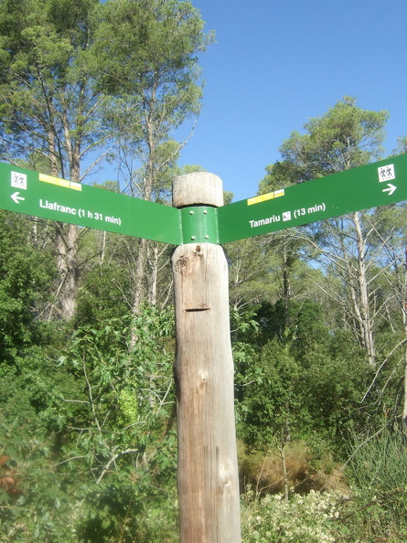 juliol2009-llafranc-tamariu 031.jpg