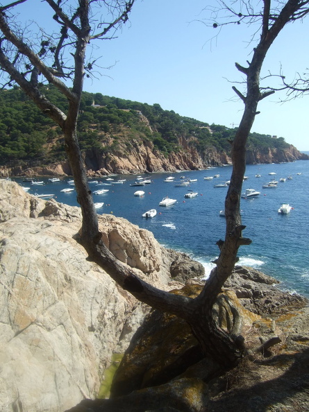 juliol2009-llafranc-tamariu 061.jpg