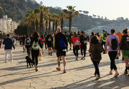 IMG 12 2025-04-06 08h00m18s