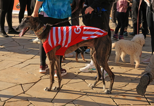 IMG 15 2025-04-06 08h19m48s