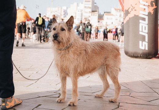 IMG 57 2025-04-06 08h32m29s