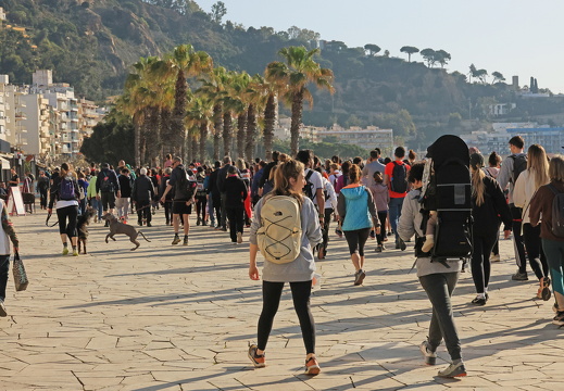 IMG 58 2025-04-06 08h32m42s