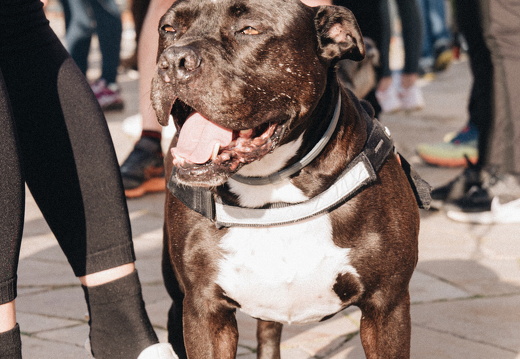 IMG 68 2025-04-06 08h44m56s