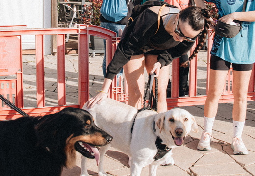 IMG 84 2025-04-06 09h14m45s