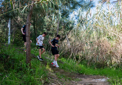 IMG 153 2025-04-06 10h08m03s