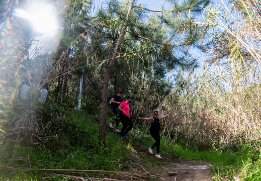 IMG 157 2025-04-06 10h09m01s