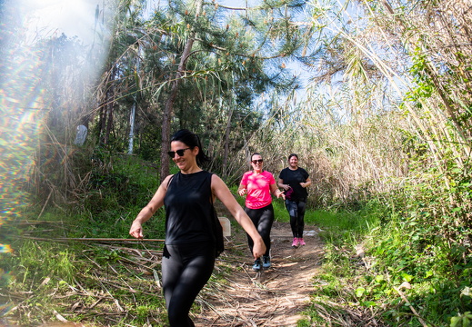 IMG 158 2025-04-06 10h09m04s