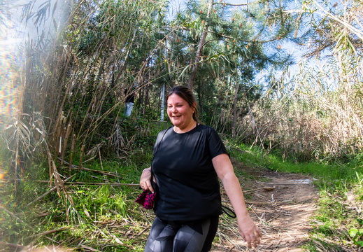 IMG 161 2025-04-06 10h09m06s