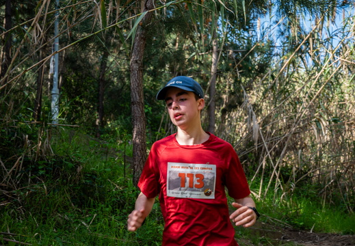 IMG 167 2025-04-06 10h13m23s