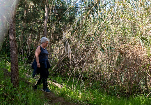 IMG 184 2025-04-06 10h21m28s