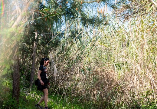 IMG 185 2025-04-06 10h22m47s