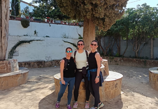 IMG 2 2025-04-07 20h31m10s