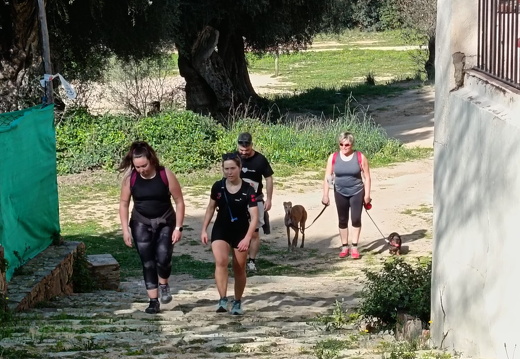 IMG 11 2025-04-07 20h31m24s