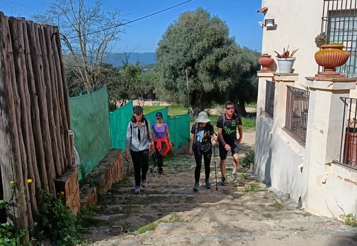 IMG 44 2025-04-07 20h37m10s