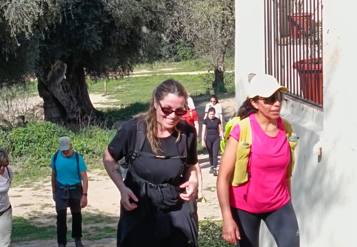 IMG 2 2025-04-08 07h40m44s