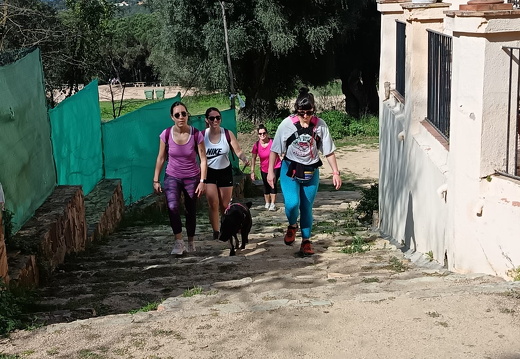 IMG 5 2025-04-08 07h40m46s